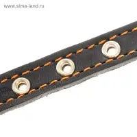 Ошейник кожаный на синтепоне, безразмерный, 37&times;1.5 см, ОШ 21-31 см, синий