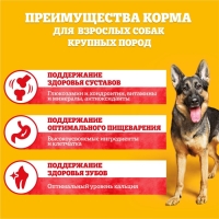 Сухой корм Pedigree для собак крупных пород, говядина, 13 кг