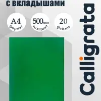 Папка с 20 вкладышами А4, 500 мкм, Calligrata, текстура &laquo;песок&raquo;, зелёная