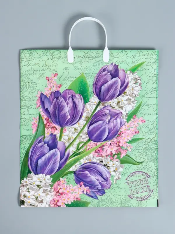 Пакет &laquo;Беатрис&raquo;, полиэтиленовый с пластиковой ручкой, 100 мкм 40&times;44 см