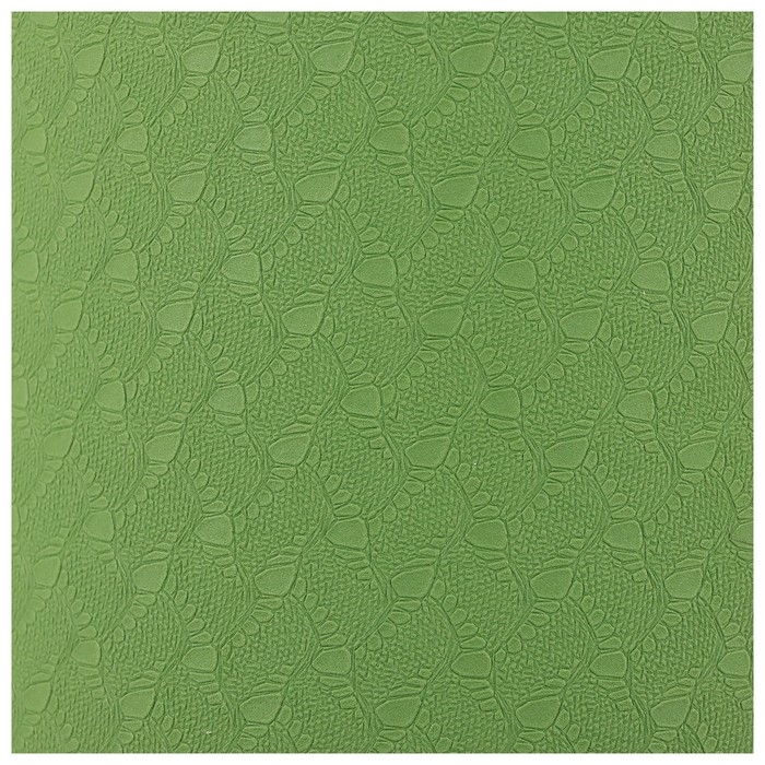 Коврик для йоги Sangh, 183×61×0,6 см, цвет зелёный Коврик для йоги Sangh, 183×61×0,6 см, цвет зелёный