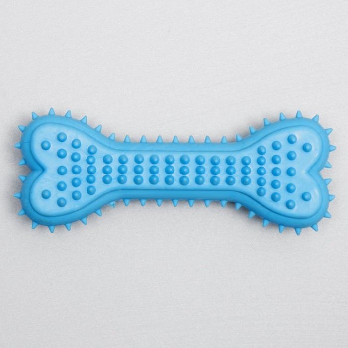 Игрушка жевательная литая Игрушка жевательная литая "Кость для массажа", 11 х 4 х 2 см, голубая