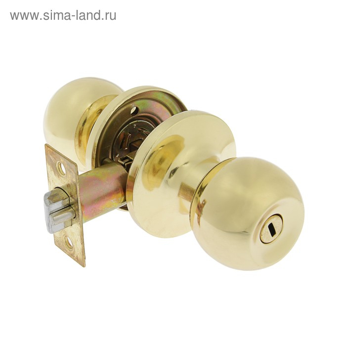 Защелка 1302, с фиксатором, без ключа, цвет золото Защелка 1302, с фиксатором, без ключа, цвет золото