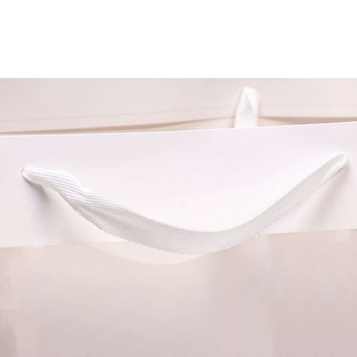 Пакет подарочный с окном, белый, 50 х 30 х 25 см Пакет подарочный с окном, белый, 50 х 30 х 25 см