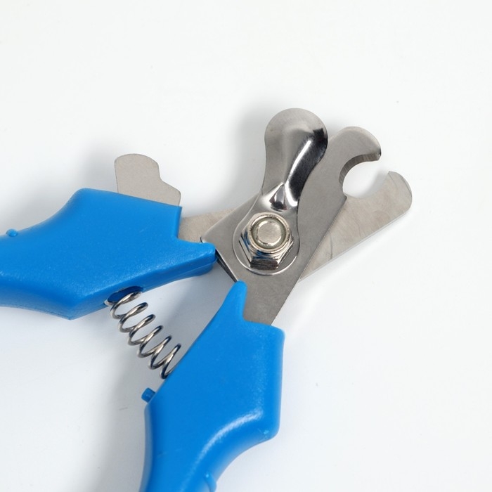 Когтерез боковой малый эконом, 12 х 4,5 х 1,4 см, синий Когтерез боковой малый эконом, 12 х 4,5 х 1,4 см, синий