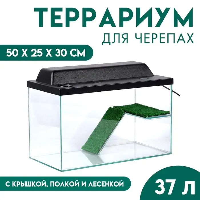 Террариум для черепах 37 л, с крышкой, полкой и лесенкой, 50&times;25&times;30 см