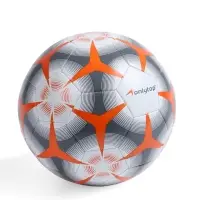 Футбольный мяч ONLYTOP, машинная сшивка, 32 панели, р. 5, PVC