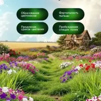 Стимулятор бутонизации и цветения Greenlife, 250 мл