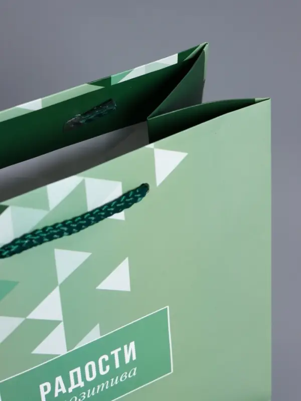 Пакет подарочный ламинированный "Радости и позитива" 18 х 22,3 х 10 см