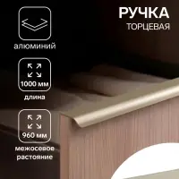 Ручка профильная мебельная торцевая CAPPIO RT002AU, L=1000 мм, м/о 960 мм, сатиновое золото