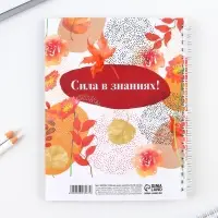 Журнал успеваемости на год, А5, 80 л., мягкая обложка &laquo;Классный учитель&raquo;