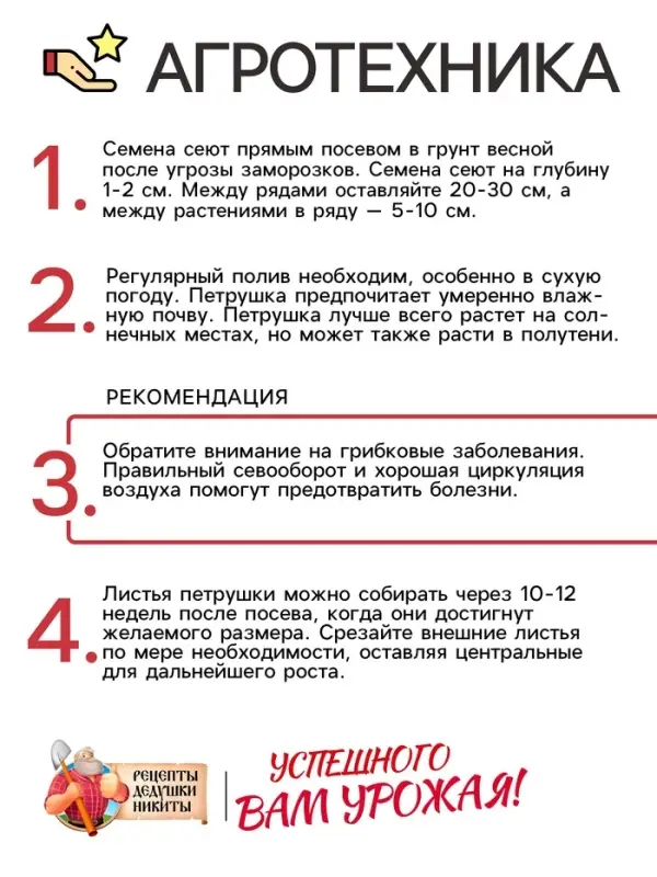 Семена Петрушка кудрявая &laquo;Мооскраузе&raquo;, 2 г, &laquo;Рецепты дедушки Никиты&raquo;