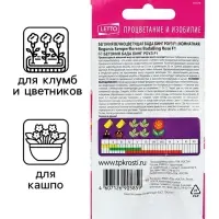 Семена комнатных цветов Бегония &laquo;Бада Бинг Роуз&raquo;, 10 шт., однолетник, &laquo;Агроуспех&raquo;