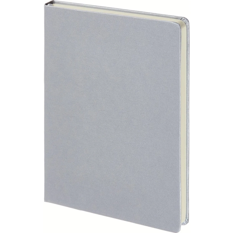 Ежедневник недатированный серебр, MEGAPOLIS А5, 142х214мм,320стр.3-281/07