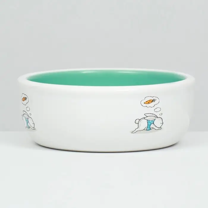 Миска керамическая для кроликов 200 мл  10 х 3,7 см, мятная/белая