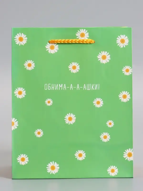 Пакет подарочный ламинированный &laquo;Ромашки - обнимашки&raquo;, 18&times;22.3&times;10 см