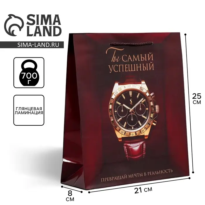 Пакет подарочный ламинированный, упаковка, «Успех», ML, 25 х 21 х 8 см Пакет подарочный ламинированный, упаковка, «Успех», ML, 25 х 21 х 8 см