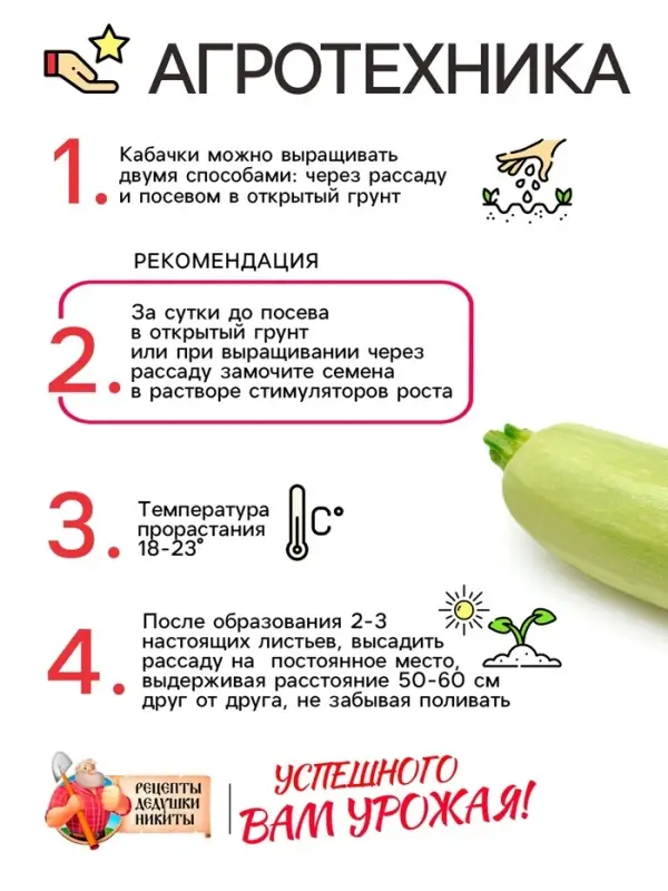 Семена Кабачок белоплодный  Семена Кабачок белоплодный "Грабовский", 0,5 г