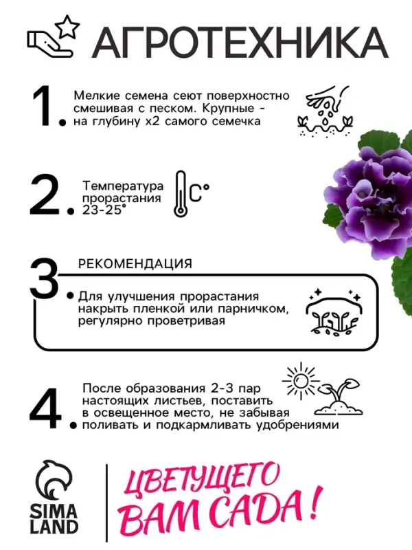 Семена комнатных цветов Глоксиния &laquo;Аванти&raquo;, смесь, F1, 4 шт., &laquo;Гавриш&raquo;