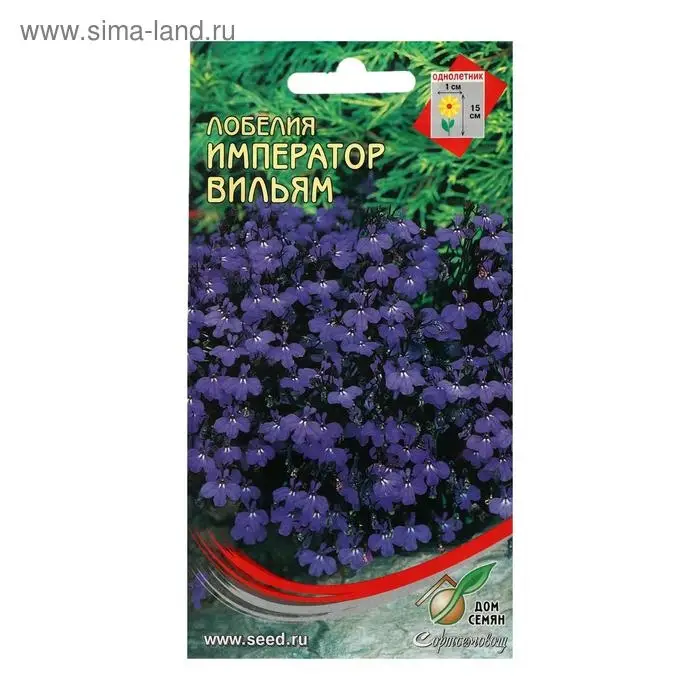 Семена цветов  Лобелия  Семена цветов  Лобелия "Император Вильям", 1000 шт