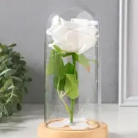 Фигурка световая колба RISALUX &laquo;Роза&raquo;, LED - ночник, 3&times;ААА, белый, 9.5&times;9.5&times;19.5 см