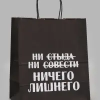 Пакет подарочный &laquo;Ни стыда ни совести Ничего лишнего&raquo;, 24&times;14&times;28 см, крафт