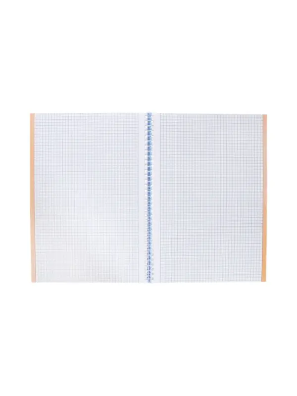 Тетрадь 80 листов в клетку Hatber &laquo;Скобочки&raquo;, на гребне, ламинация Soft-touch, перфорация на отрыв, цветной срез, блок офсет 60-65 г/м&sup2;, МИКС 2 вида