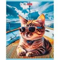 Тетрадь 40л А5ф клетка 60-65г/кв.м на скобе Обл. мел.картон  Коты на релаксе МИКС