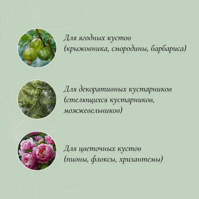 Кустодержатель, d=40 см, h=90 см, ножка d=1 см, металл, набор 2 полудуги, зелёный