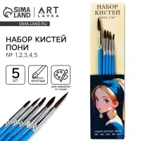 Кисть для рисования набор 5 шт. пони круглые № 1,2,3,4,5 &laquo;Девушка с серёжкой&raquo;