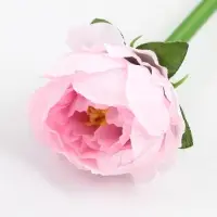 Ручка шариковая, синяя паста, 1 мм, пластик, в подарочной упаковке &laquo;С днём учителя&raquo;