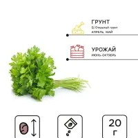 Семена Петрушка &laquo;Итальянский гигант&raquo;, XXXL, &laquo;Сембат&raquo;, 20 г