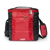 Термосумка AVS TC-20 (20 л.)