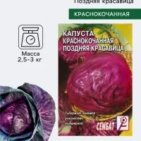 Семена Капуста краснокочанная &laquo;Поздняя красавица&raquo;, 0.5 г, &laquo;Сембат&raquo;