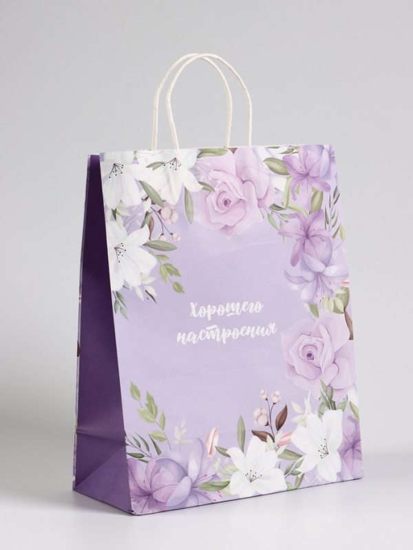 Пакет подарочный крафт, «Хорошего настроения», 25×12×32 см Пакет подарочный крафт, «Хорошего настроения», 25×12×32 см