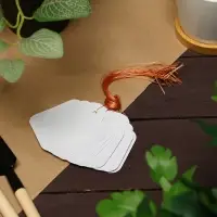 Бирки садовые, для маркировки растений, 6.5&times;5 см, набор 20 шт., пластик, белые, Greengo