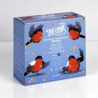 Гирлянда &laquo;Бахрома&raquo; 2.4&times;0.9 м с насадками &laquo;Звёзды&raquo;, IP20, прозрачная нить, 138 LED, свечение синее, 8 режимов, 220 В