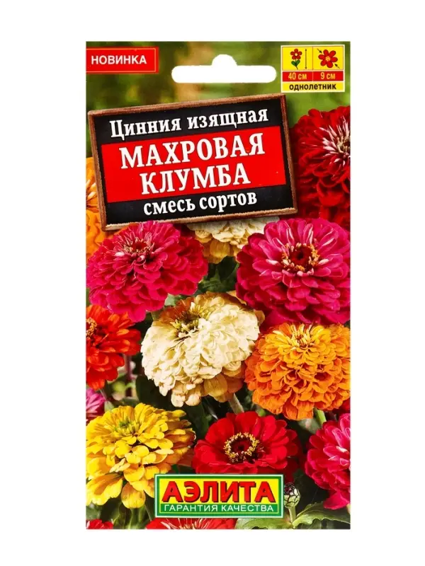 Семена цветов Цинния Махровая клумба, смесь сортов , Ц/П,12 шт. Семена цветов Цинния Махровая клумба, смесь сортов , Ц/П,12 шт.