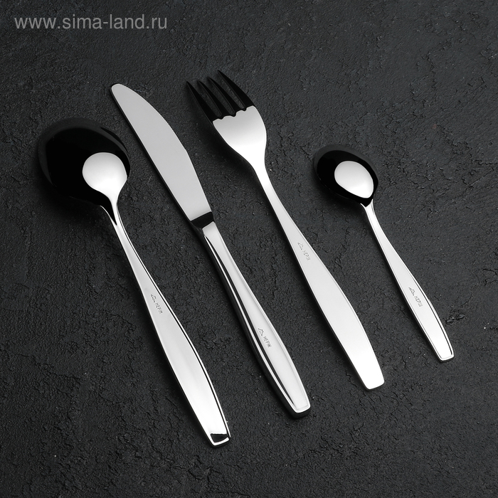 Набор столовых приборов &laquo;Комет&raquo;, 24 предмета, толщина 2,5 мм, декоративная коробка, цвет серебряный