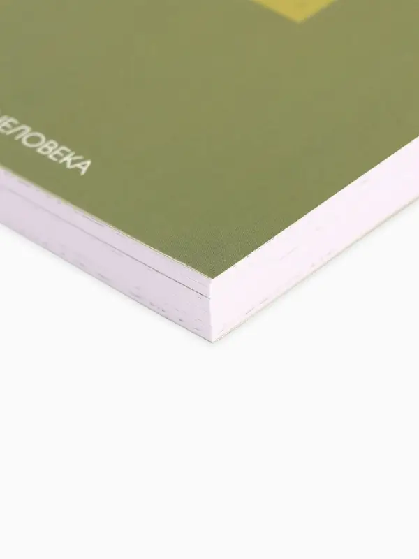 Ежедневник творческого человека &laquo;Время мечтать&raquo;, с заданиями А5, 120 л., в мягкой обложке