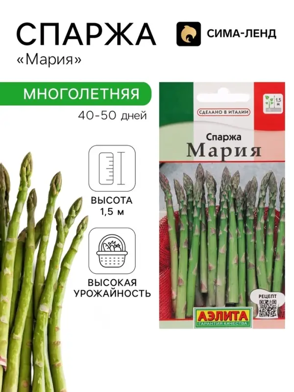 Семена Спаржа &laquo;Царская&raquo;, 0.5 г, 20 шт.