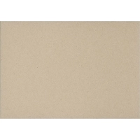 Картон цветной Выбор есть Отличник 20л10цв А4 немелован.пакет