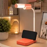 Лампа настольная RISALUX &laquo;Лансер&raquo;, светодиодная, 3.5 Вт, USB, АКБ, красно-розовая, 11&times;15&times;45 см