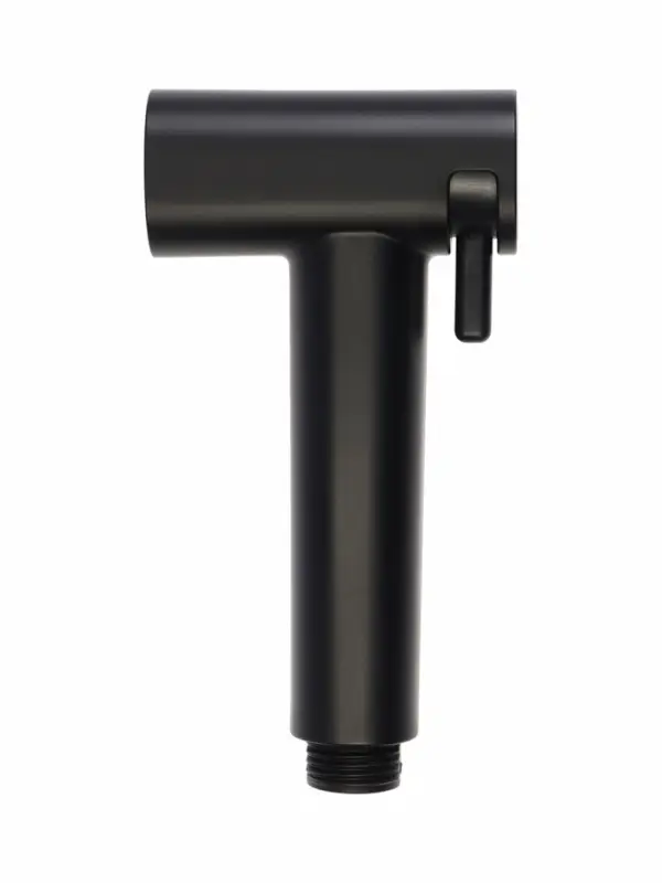 Гигиеническая лейка Accoona AF30501F