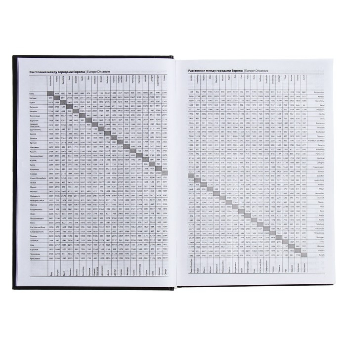 Ежедневник полудатированный на 4 года А5, 192 листа, обложка бумвинил, чёрный Ежедневник полудатированный на 4 года А5, 192 листа, обложка бумвинил, чёрный