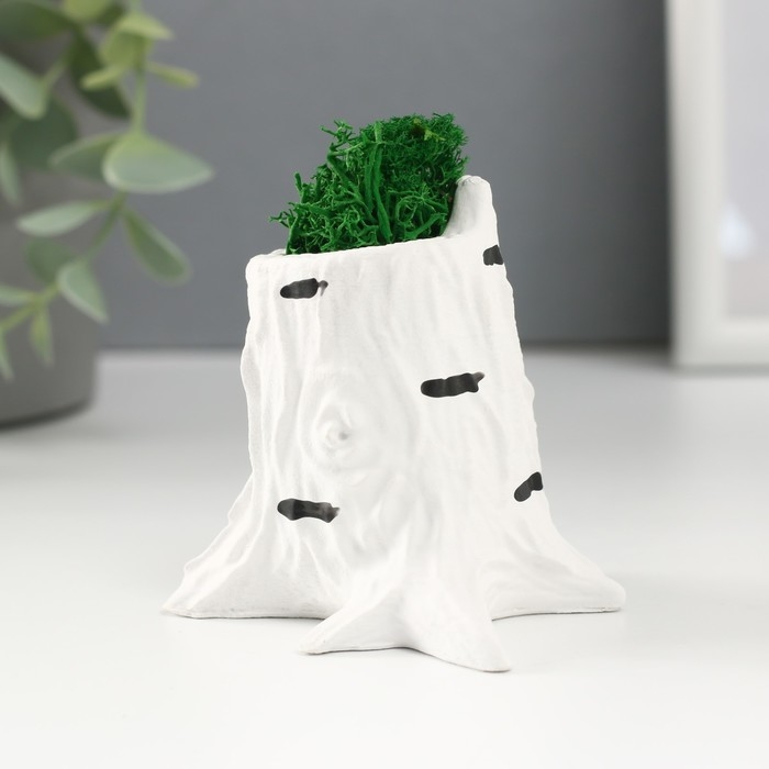 Кашпо бетонное Кашпо бетонное "Пенек березка" 7,5х8,5х7 см со мхом (мох зеленый стабилизированный)