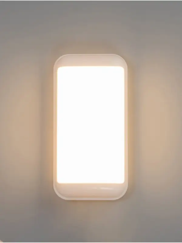 Светильник &laquo;Минимал&raquo; прямоугольник LED 10 Вт 6500К (быстросъемный механизм) белый 5&times;12&times;24 см