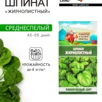 Семена шпинат &laquo;Жирнолистный&raquo;, 3 г, &laquo;Рецепты дедушки Никиты&raquo;