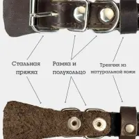 Ошейник, 35&times;1.5 см, с подкладом и светоотражающей лентой, кожа, коричневый