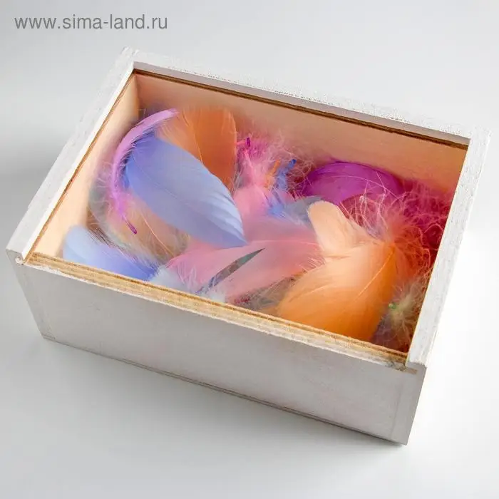 Наполнитель из перьев для шаров и подарков, упаковка, «Радости!» , 15 х 11 см Наполнитель из перьев для шаров и подарков, упаковка, «Радости!» , 15 х 11 см